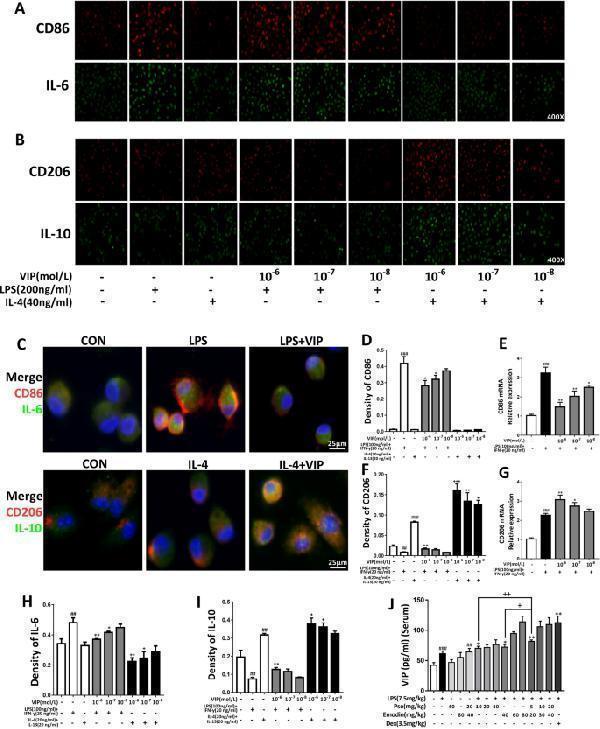 a00021 3 13020_2021_562_fig5_html