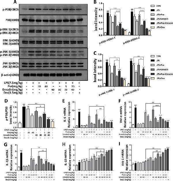 a00021 3 13020_2021_562_fig7_html
