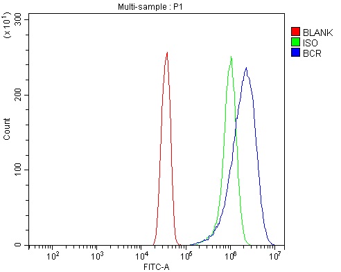 a00022 2 bcr primary antibodies fcm testing 2