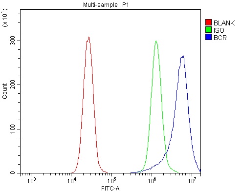a00022 2 bcr primary antibodies fcm testing 3