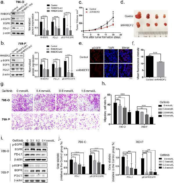 a00023 2 12935_2021_2277_fig9_html