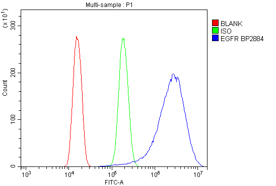 a00023 4 egfr primary antibodies fcm testing 8