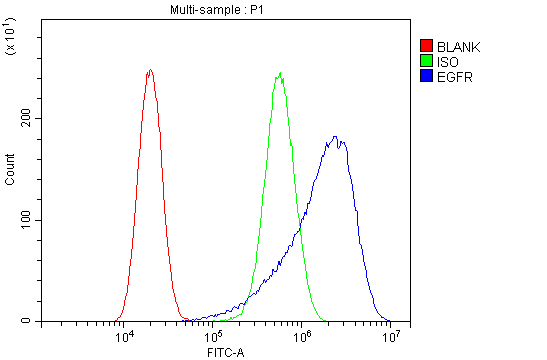 a00023 5 egfr primary antibodies fcm testing 3