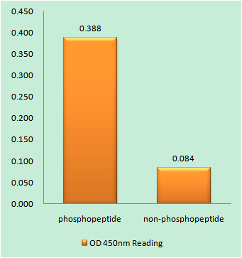 a00023s1071 egfr primary antibodies elisa testing 1