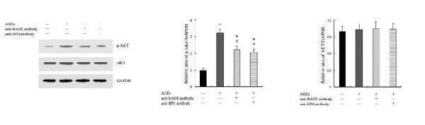 a00024 2 12933_2013_article_642_fig4_html