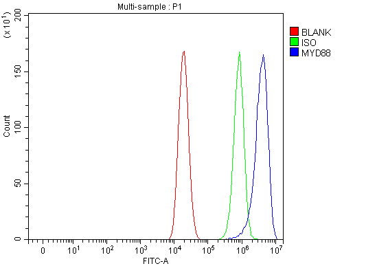  Flow Cytometry analysis of Caco-2 cells using anti-MYD88 antibody (A00025-3)