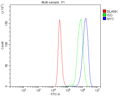  Flow Cytometry analysis of THP-1 cells using anti-C-Myc/MYC antibody (A00026-1)