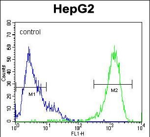 MAPK1 Antibody (C-term) (Cat