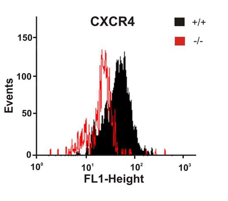 a00031 1 cxcr4 primary antibodies fcm testing 10
