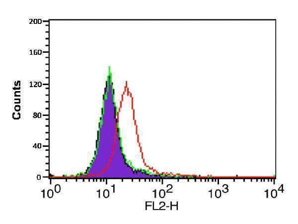 a00031 1 cxcr4 primary antibodies fcm testing 7