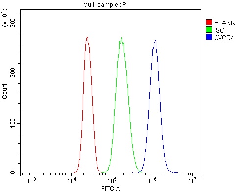  Flow Cytometry analysis of U937 cells using anti-CXCR4 antibody (A00031-3)