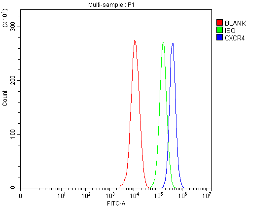 Flow Cytometry analysis of THP-1 cells using anti-CXCR4 antibody (A00031-4)