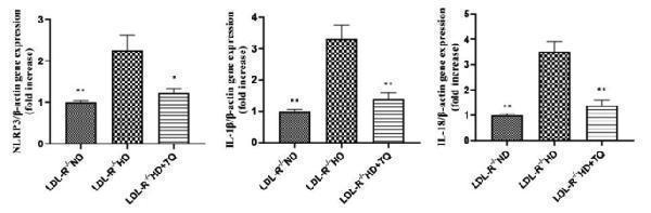 a00034 2 12876_2023_2895_fig5_html