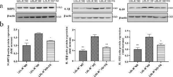 a00034 2 12876_2023_2895_fig6_html