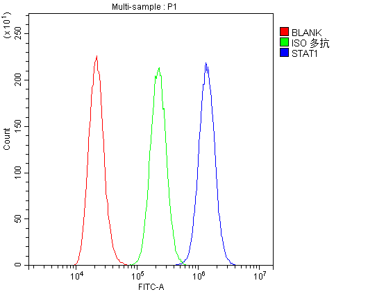 Flow Cytometry analysis of A431 cells using anti-STAT1 antibody (A00036-2). Overlay histogram showing A431 cells stained with A00036-2 (Blue line).The cells were blocked with 10% normal goat serum. And then incubated with rabbit anti-STAT1 Antibody (A00036-2,1μg/1x106 cells) for 30 min at 20°C. DyLight®488 conjugated goat anti-rabbit IgG (BA1127, 5-10μg/1x106 cells) was used as secondary antibody for 30 minutes at 20°C. Isotype control antibody (Green line) was rabbit IgG (1μg/1x106) used under the same conditions. Unlabelled sample (Red line) was also used as a control.