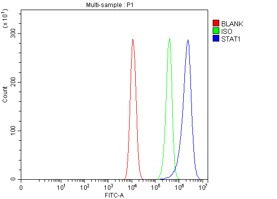 a00036 3 stat1 primary antibodies fcm testing 3