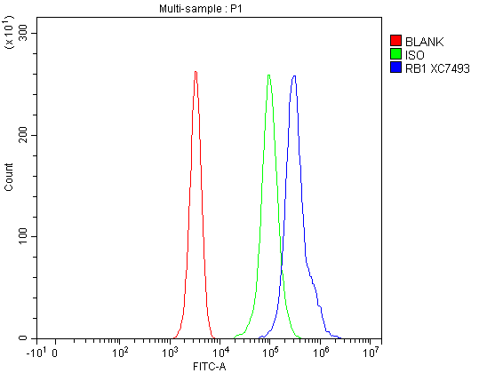 a00039 3 rb1 primary antibodies fcm testing 1