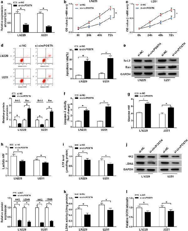 a00040 2 12935_2020_1454_fig2_html