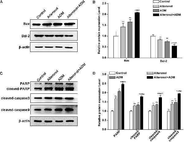 a00040 2 fphar 10 00285 g005