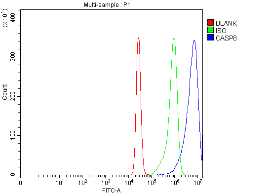  Flow Cytometry analysis of K562 cells using anti-Caspase-8/CASP8 antibody (A00042-3)