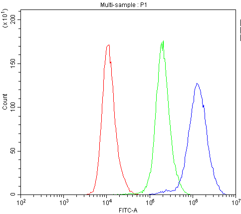  Flow Cytometry analysis of PC-3 cells using anti-CASP8 antibody (A00042)