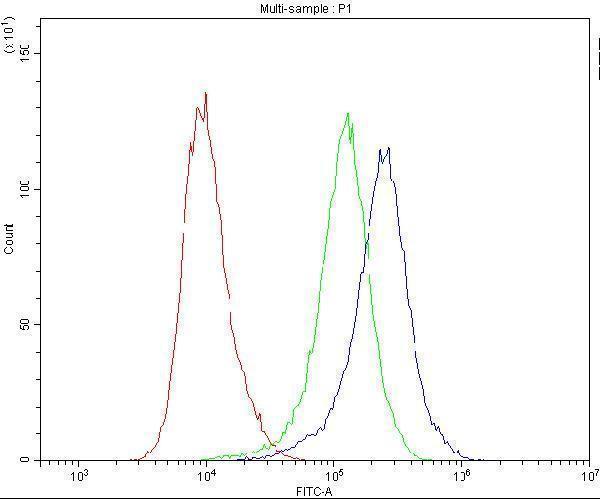 a00042 casp8 primary antibodies fc testing 8_1
