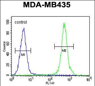 a00062 3 anti hp antibody center fc testing 5