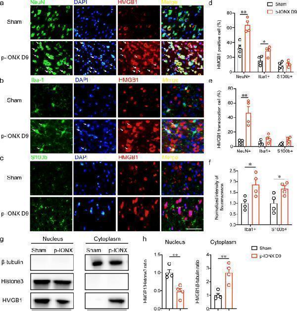 a00066 1 10194_2022_1475_fig3_html