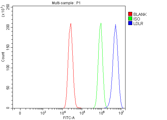  Flow Cytometry analysis of MCF-7 cells using anti-LDLR antibody (A00076-3)
