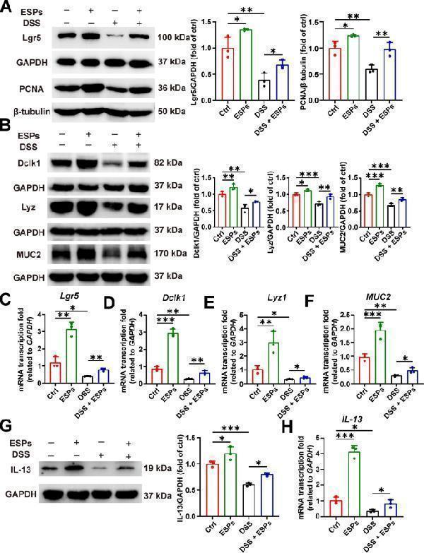 a00077 2 13071_2025_6893_fig12_html