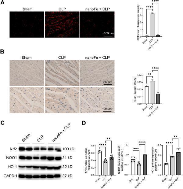 a00078 1 12951_2022_1589_fig5_html