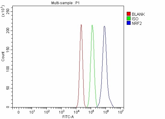  Flow Cytometry analysis of RT4 cells using anti-NRF2/NFE2L2 antibody (A00078-2)