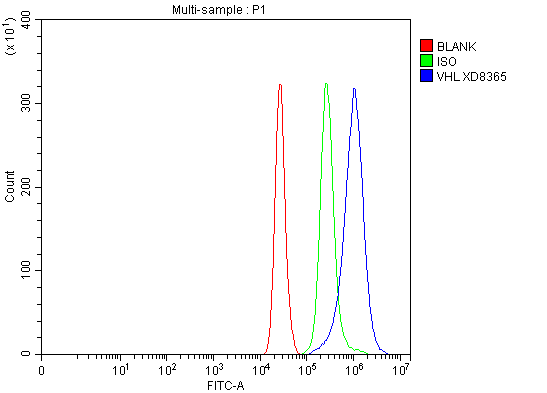 a00079 3 vhl primary antibodies fcm testing 2