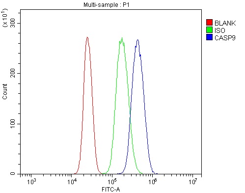 a00080 5 casp9 primary antibodies fcm testing 4