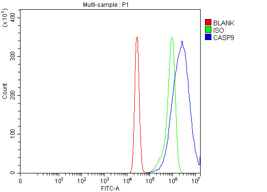 a00080 8 casp9 primary antibodies fcm testing 3