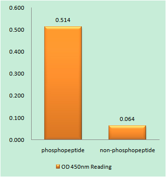 a00081t743 app primary antibodies elisa testing 1