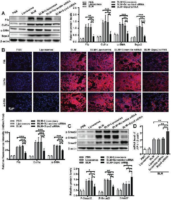 a00090 1 thnov11p7110g007