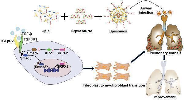 a00090 1 thnov11p7110g008