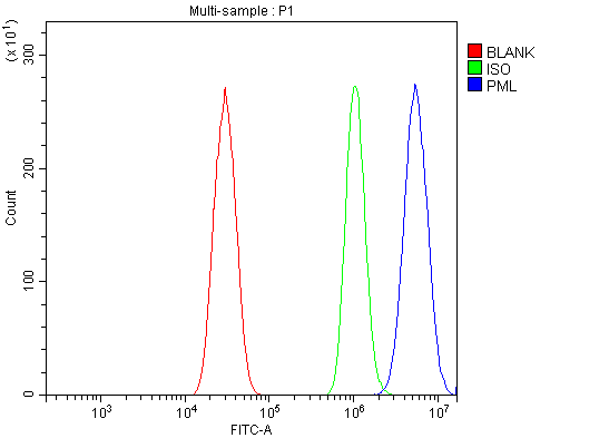 a00093 2 pml primary antibodies fcm testing 4