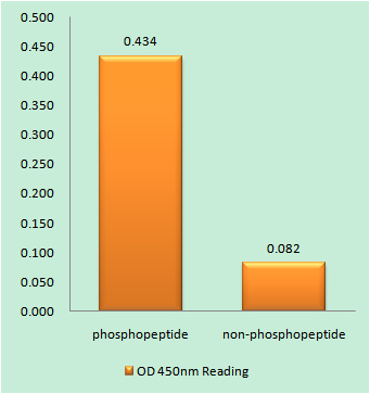 a00097s262 mapt primary antibodies elisa testing 1