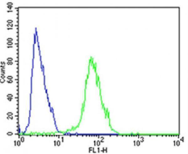 a00098 2 anti fgfr1 antibody center fc testing 2