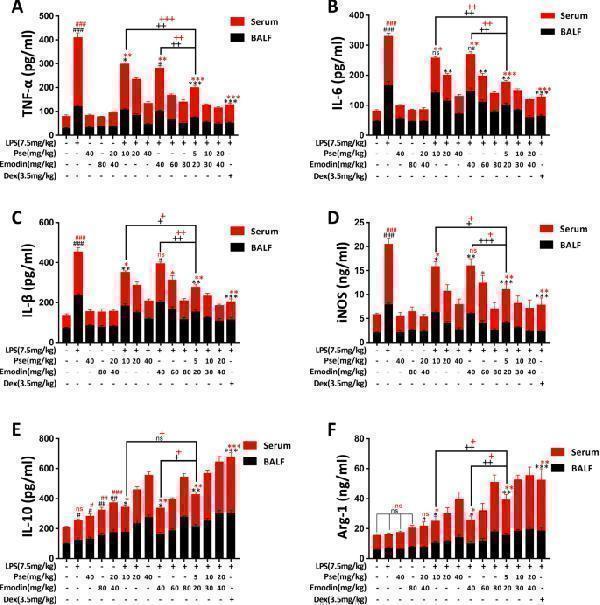 a00101 3 13020_2021_562_fig2_html