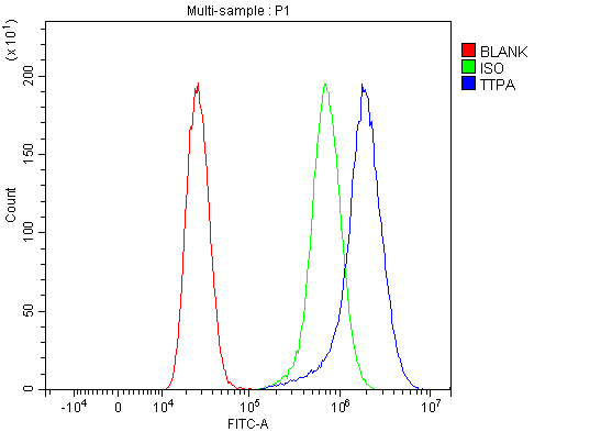  Flow Cytometry analysis of MCF-7 cells using anti-TTPA/TPP1 antibody (A00103-1)