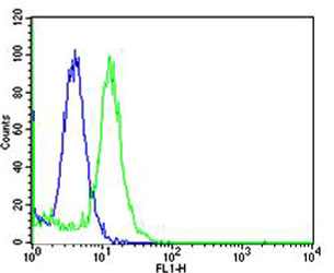 Flow cytometric analysis of Hela cells using Mouse Mapk3 Antibody (C-term)(green, Cat#A00104) compared to an isotype control of rabbit IgG(blue)