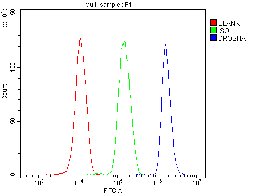 a00111 3 drosha primary antibodies fcm testing 2