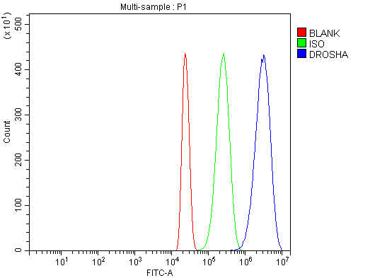  Flow Cytometry analysis of HL-60 cells using anti-DROSHA antibody (A00111-4)