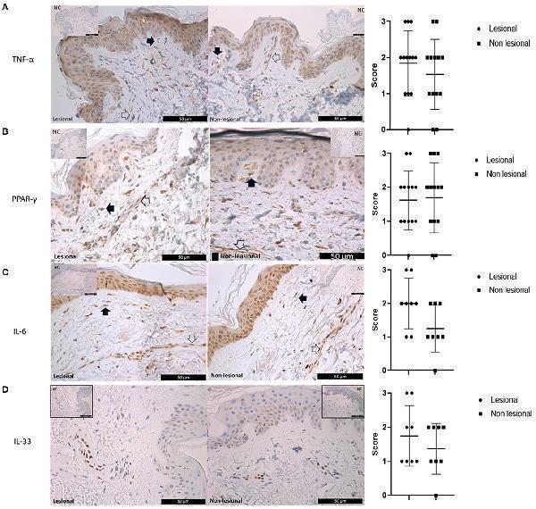 a00113 fmed 10 1168359 g004