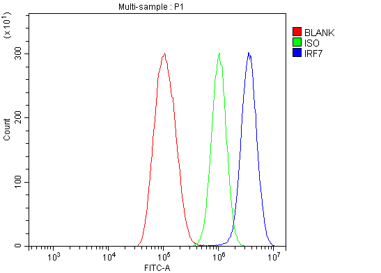 a00115 2 irf7 primary antibodies fcm testing 2