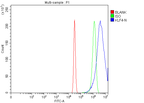 a00120 3 klf4 primary antibodies fcm testing 4
