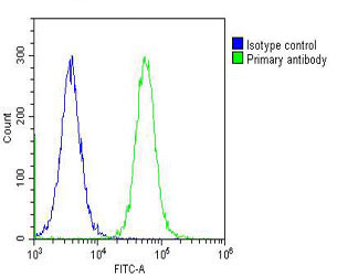 a00130 2 anti cbs antibody center fc testing 6
